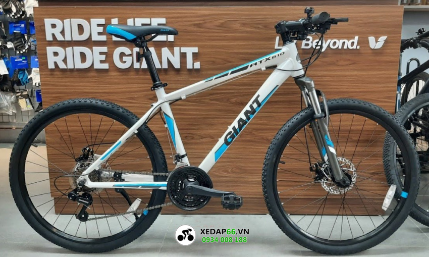 Mua xe dap dia hinh o dau - Xe đạp đường phố