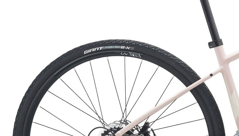 Xe đạp thể thao nữ LIV ALIGHT 2 2024 9 - Xe đạp đường phố lop xe dap liv alight 2 2023 02 - Xe đạp đường phố