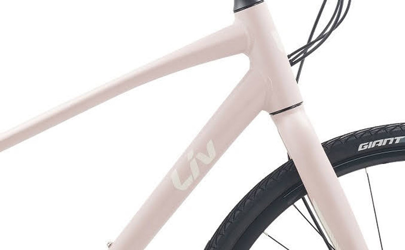 Xe đạp thể thao nữ LIV ALIGHT 2 2024 6 - Xe đạp đường phố phuoc xe dap liv alight 2 2023 hong - Xe đạp đường phố