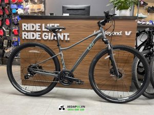Xe đạp thể thao nữ Giant LIV ROVE 3 DD 2024