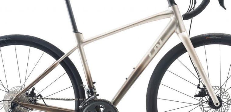 Xe đạp đua nữ LIV AVAIL AR 3 2024 2 - Xe đạp đường phố khung xe dap dua nu liv AVAIL AR 3 2024 nau - Xe đạp đường phố